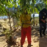 Operação já resgatou 13 trabalhadores em situação de escravidão no Piauí em 2022